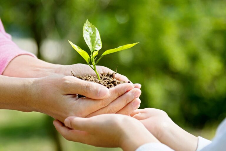 Skills For Tomorrow: Collaborating for the Future: Australia-Indonesia-ASEAN Symposium 2017