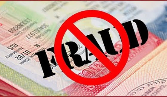 Over 225 illegal workers detained in visa fraud crackdown