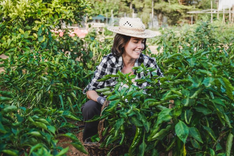 Seasonal Workers – The Pacific Labour Scheme