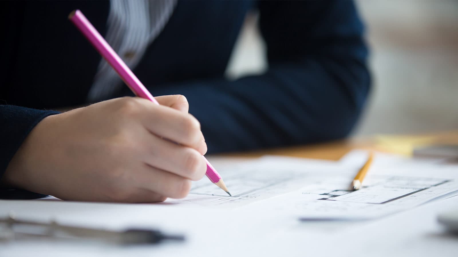 Surveyor Skills Assessments Update