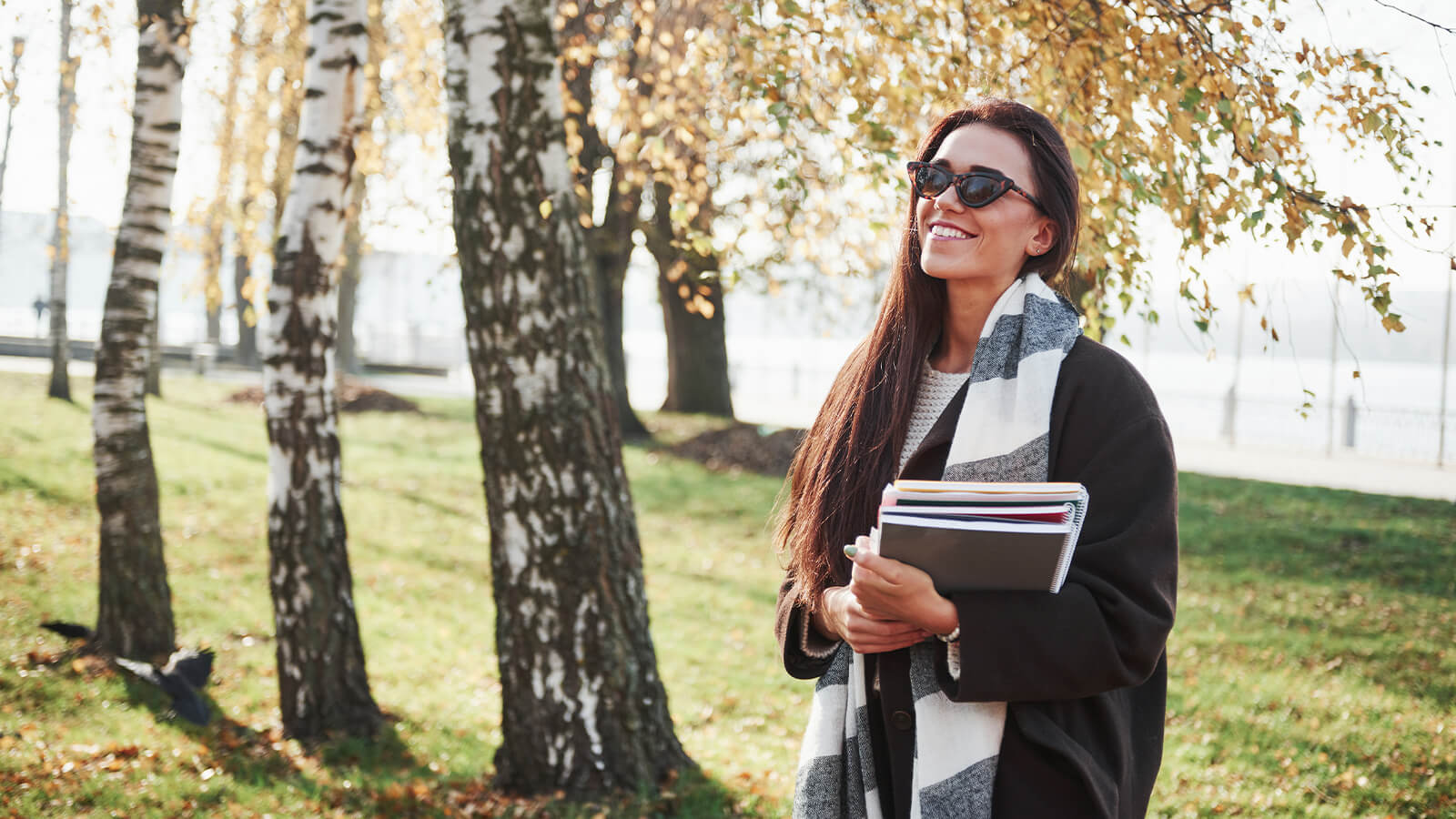 Student Visa Update: Evidence Level Adjustments for Subclass 500